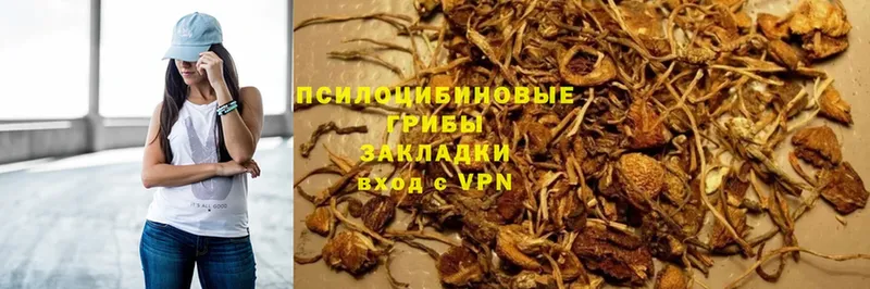 Галлюциногенные грибы GOLDEN TEACHER  купить наркотики цена  Усолье-Сибирское 